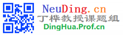 DingHua.Prof.cn丁桦教授课题组 NeuDing.cn